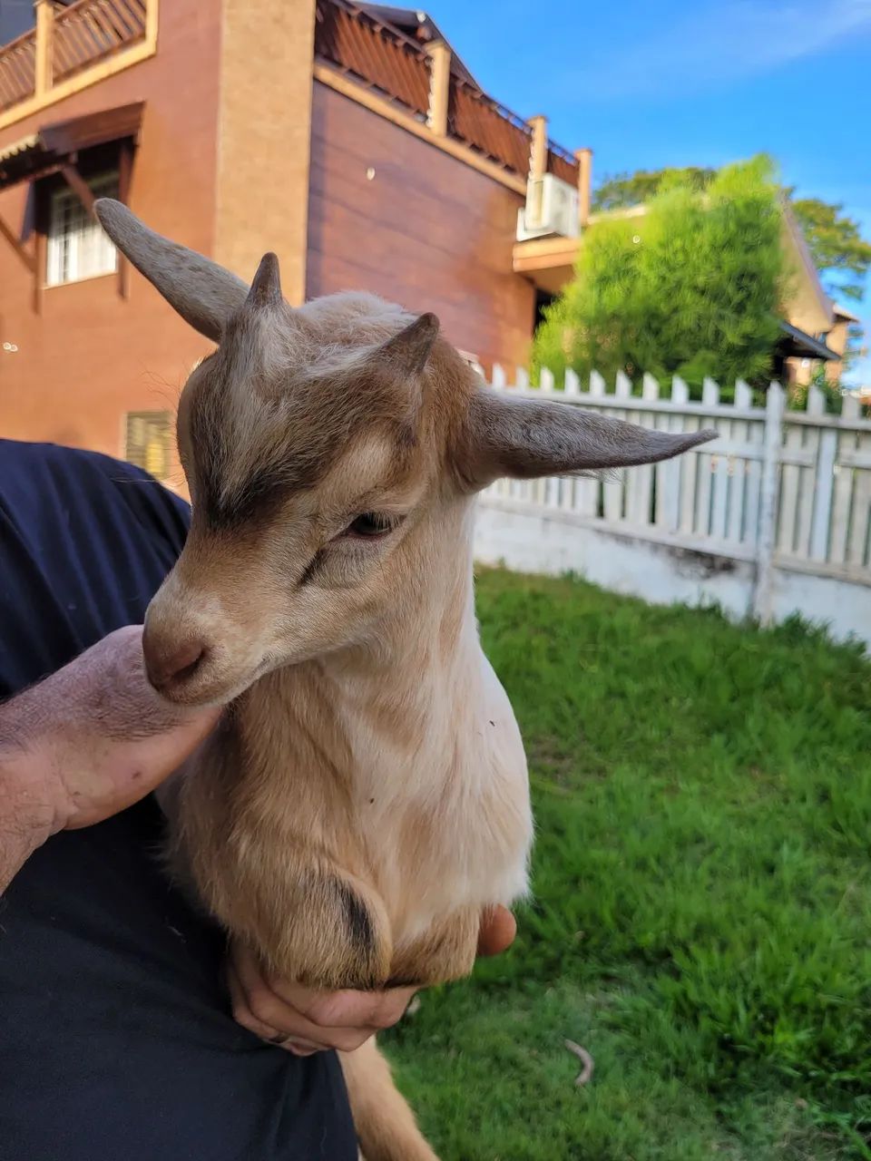 Agronegócio  - Foto 4