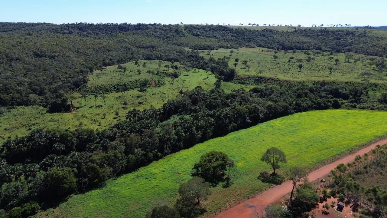 Fazenda Código 0100 - APTIDÃO PECUÁRIA  - Foto 3