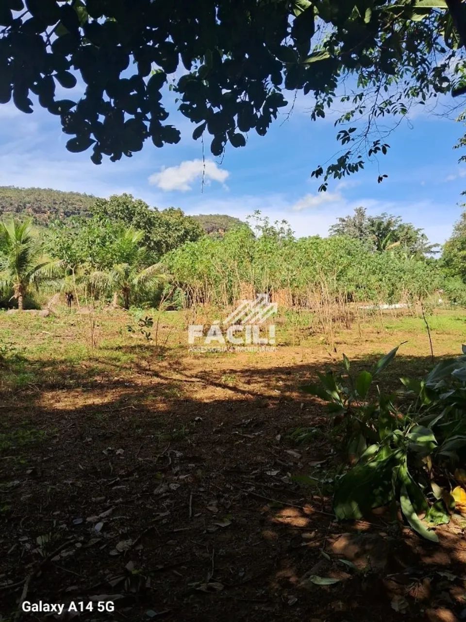 Chácara Beira Rio | 8.500m² | Rancho + Pomar | Aceita Troca