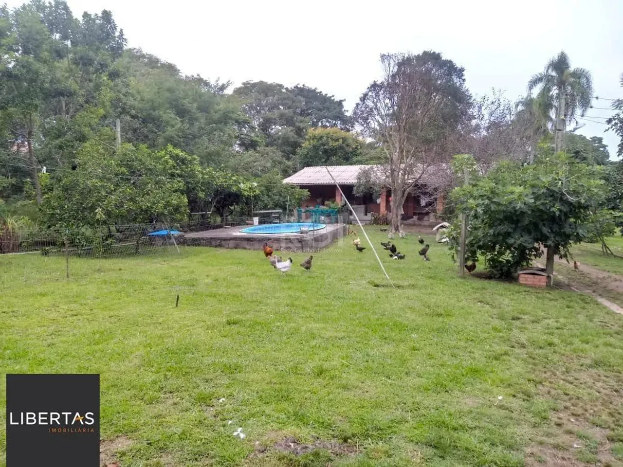 Sítio para Venda - 13725m², 2 dormitórios, sendo 2 suites, 4 vagas - Ponta Gross