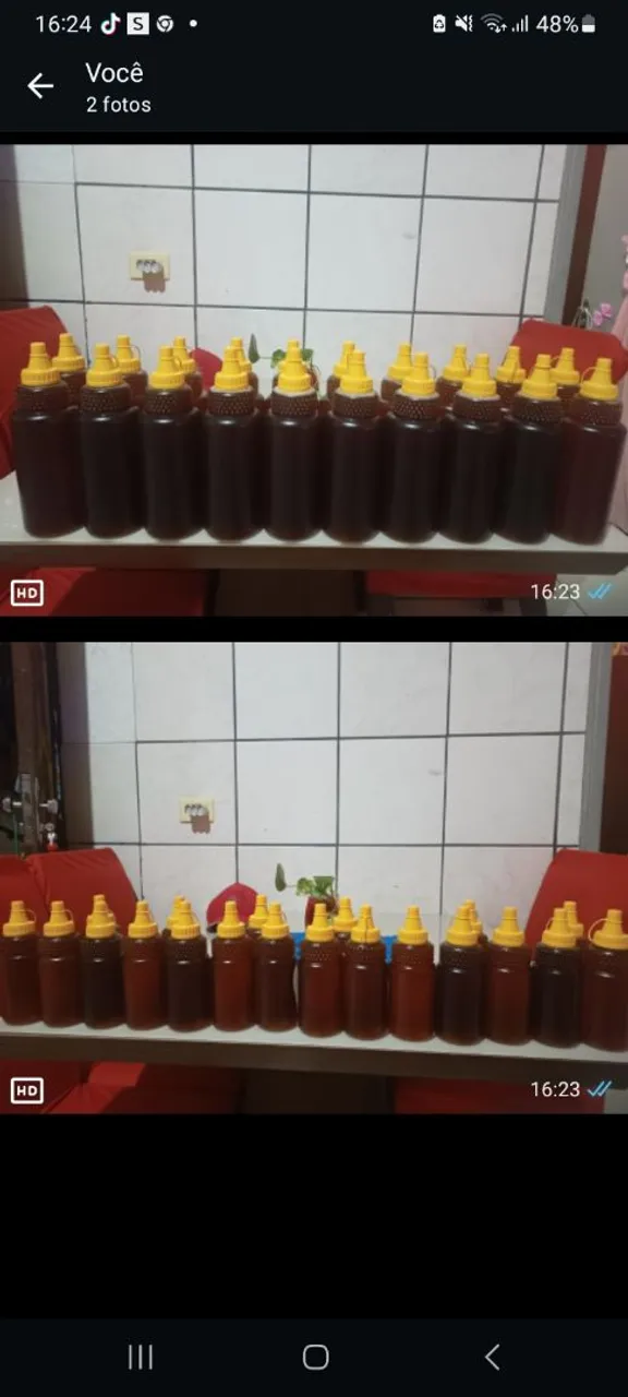 Mel Puro em Frascos - abelha italiana- 1litro R$50 e 500ml R$ 25 -Direto do Produtor!