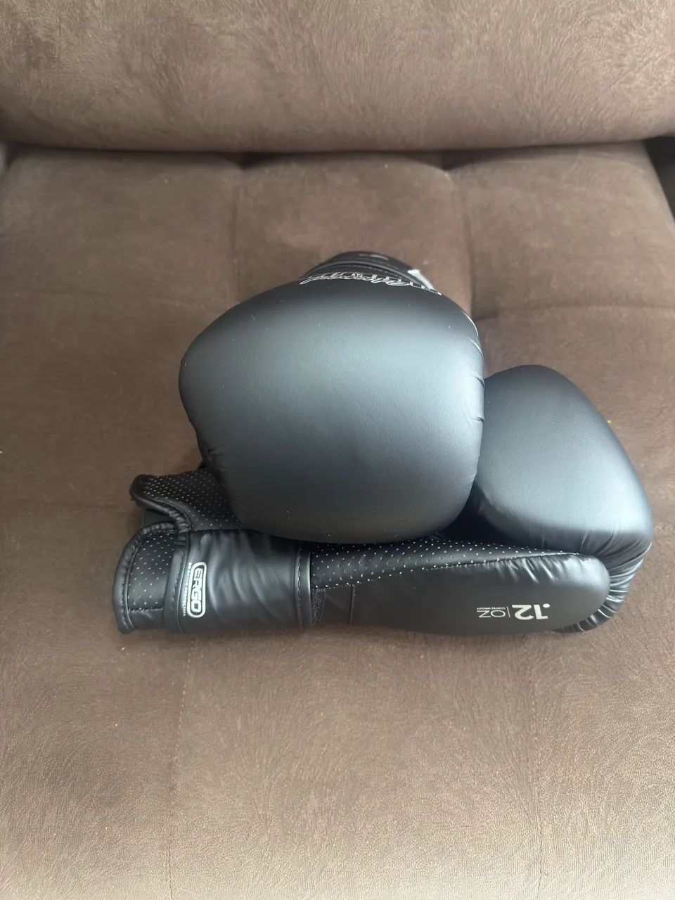 Luvas de Boxe/Muay Thai 12 OZ - Advanced Fighting Gear - Foto 2