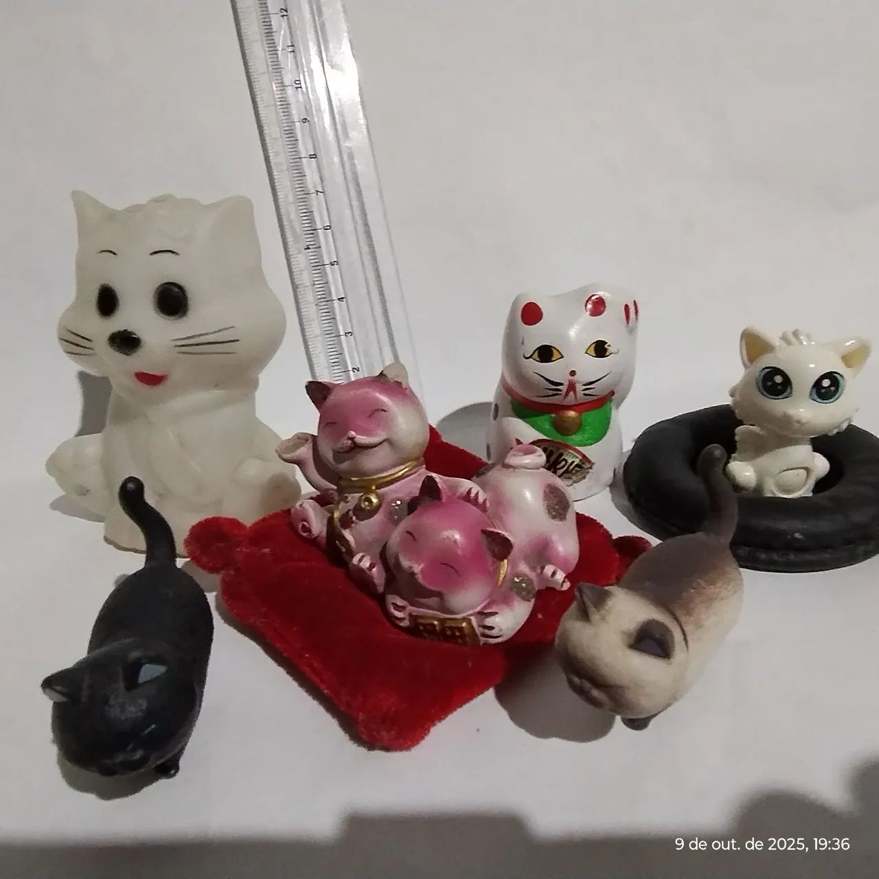 Lote 183, Gatinhos Diversos. - Foto 2