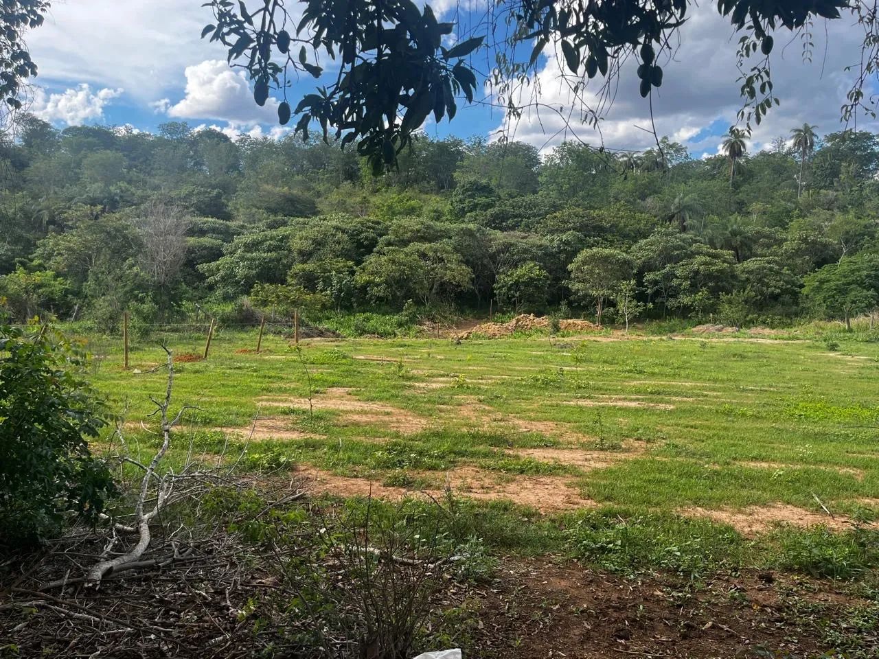 Lote 4.000 metros com água nos fundos  - Foto 4