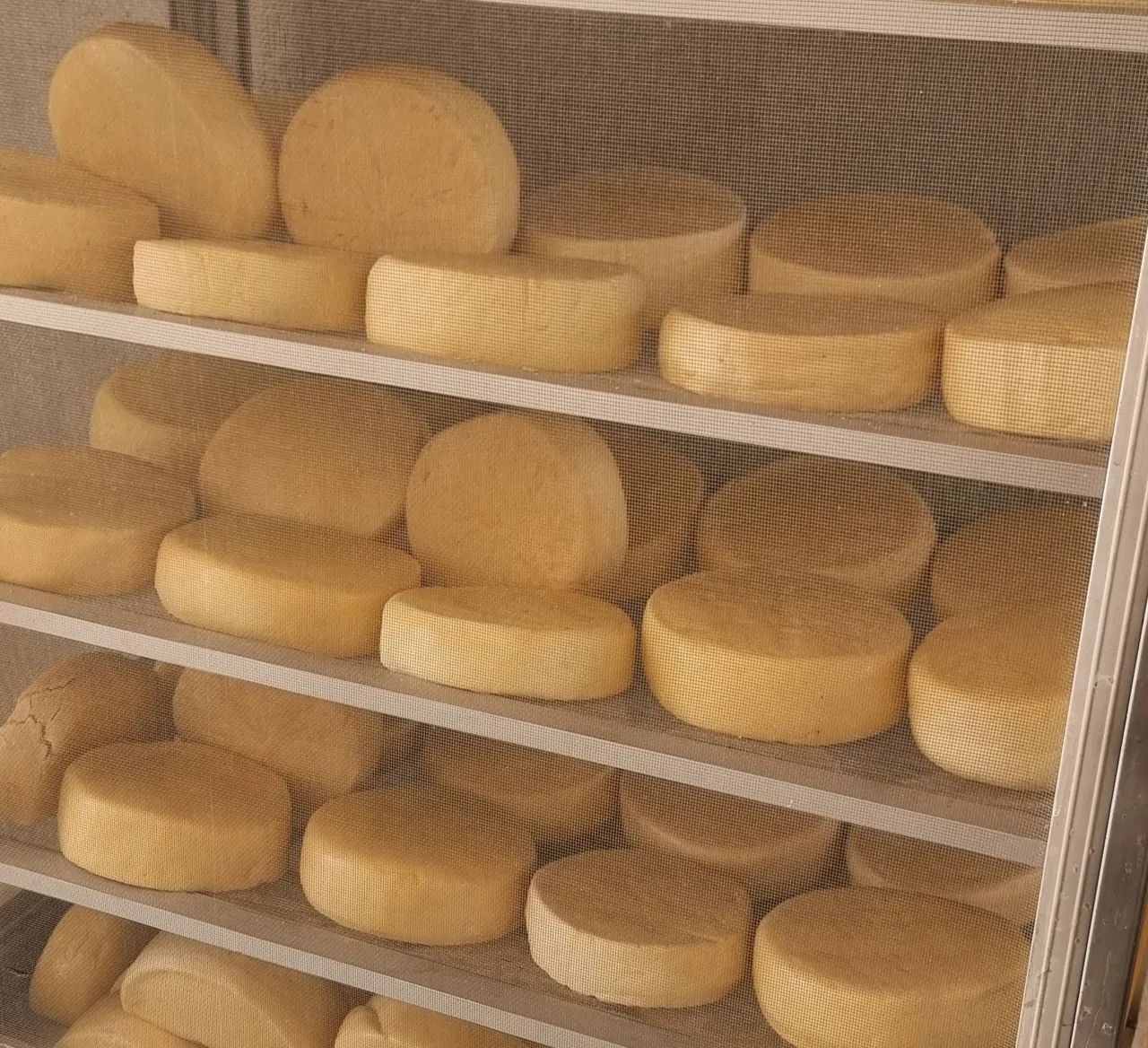 Queijo Meia Cura  - Foto 2