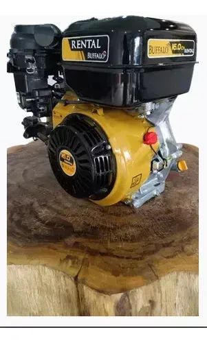 MOTOR  BFG 4T 16.0CV RENTAL-Buffalo
