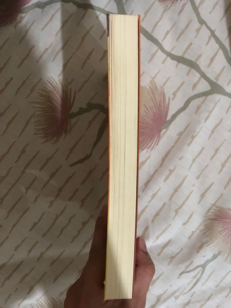 As aventuras de Pi - Foto 4