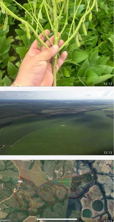 Fazenda com área verde e irrigação - Foto 2
