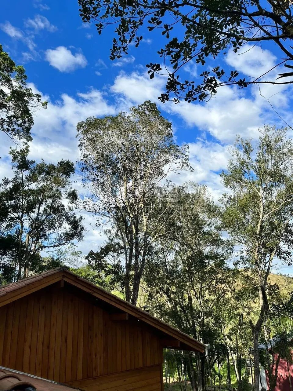 Sítio à venda em Canelinha/SC - Foto 5