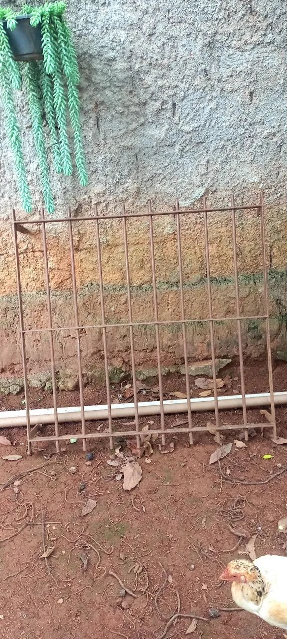 Grade em ferro maçiço  - Foto 4