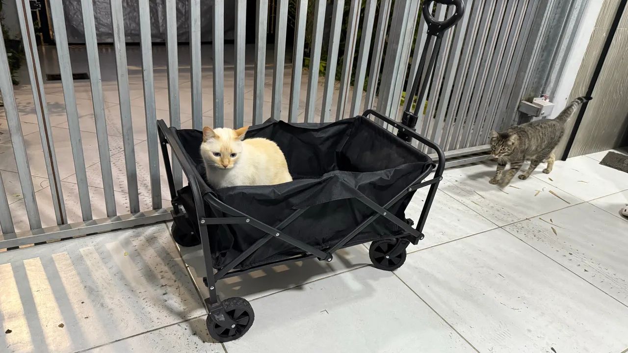 Carrinho Multiuso Para Carga  Dobrável IMPORTADO Compras - Foto 2