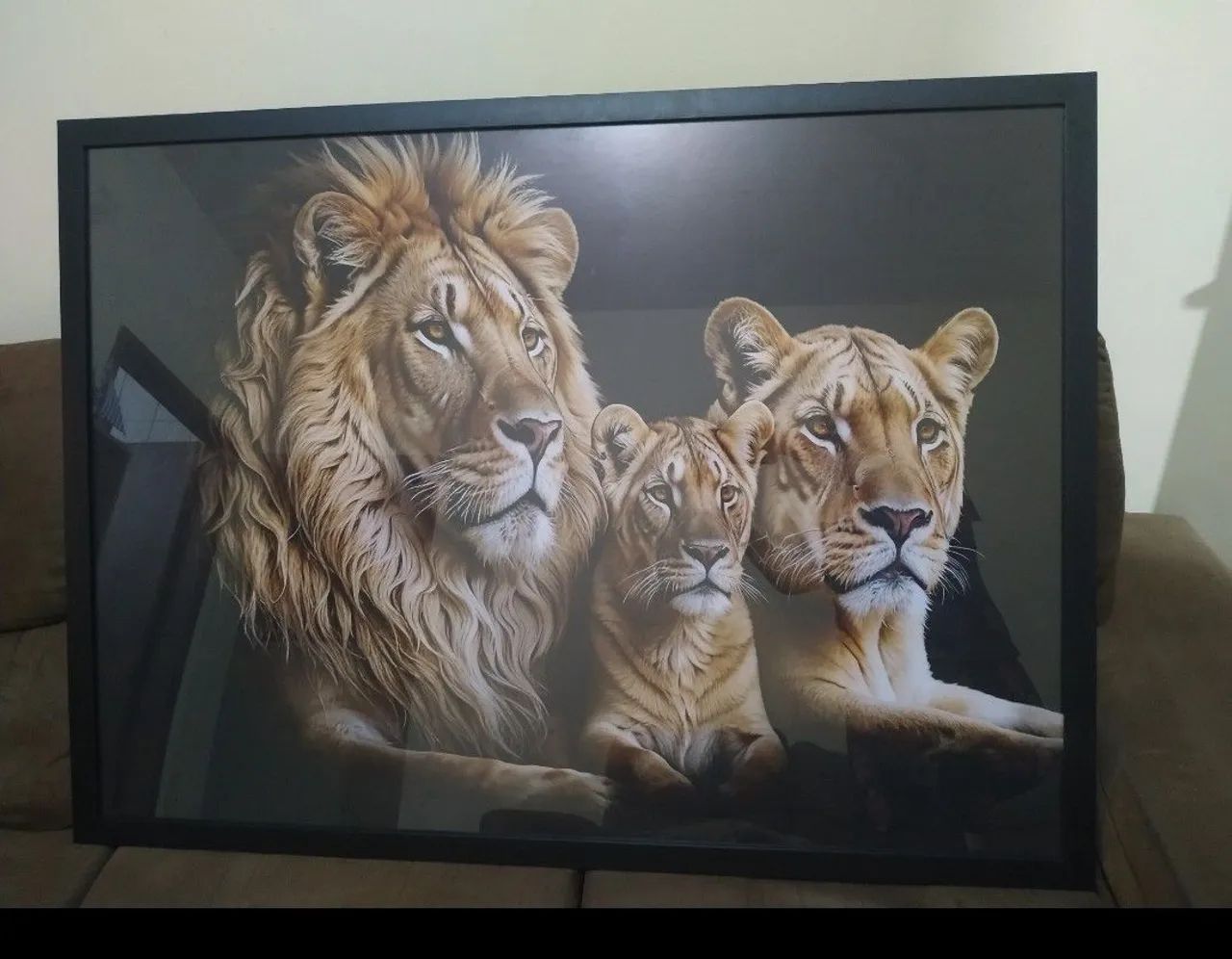 Promoção Quadro decorativo Grande 1.15 x 85