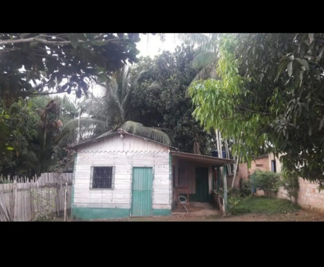 foto - Santarém - Vitória Régia
