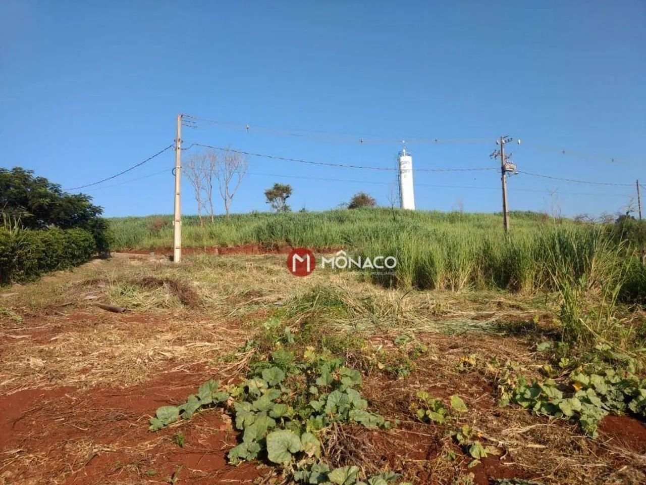 Terreno à venda, 1527 m² por R$ 95.000,00 - Barbosa - Alvorada do Sul/PR - Foto 3