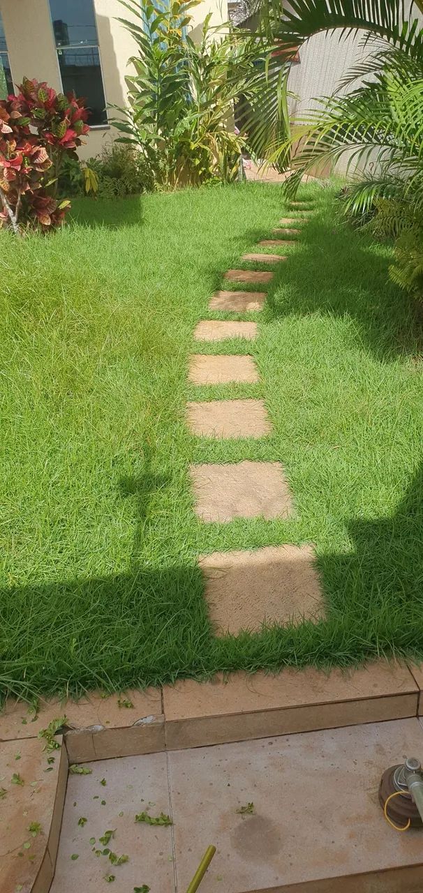 Jardinagem  - Foto 2