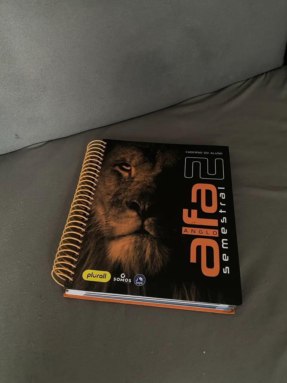 Apostilas Anglo - Foto 3