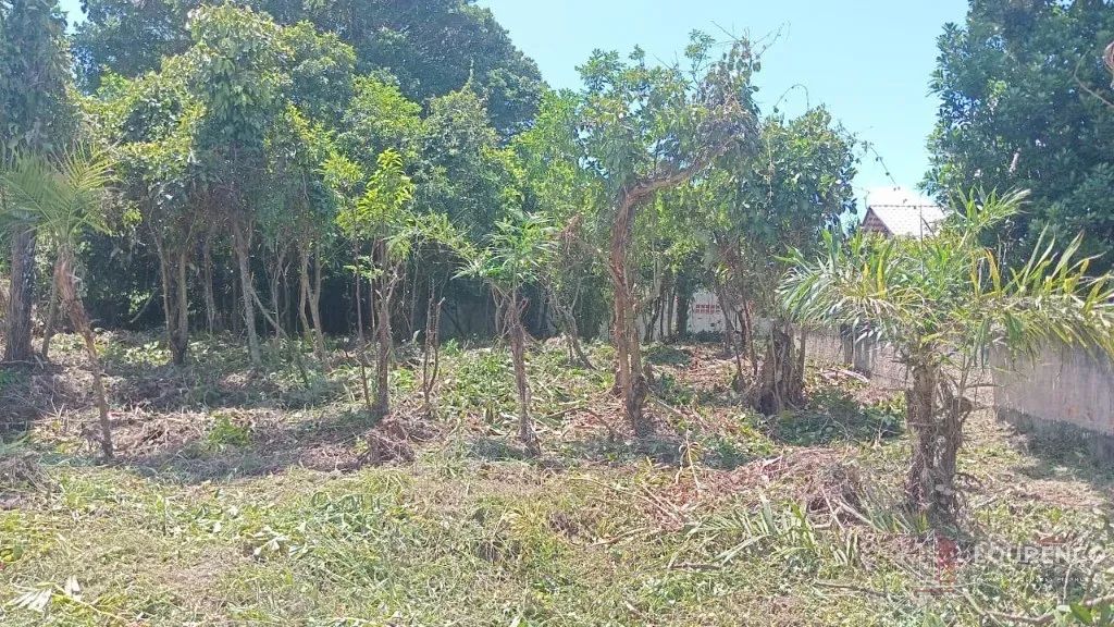 TERRENO RESIDENCIAL em JOINVILLE - SC, ERVINO - Foto 3