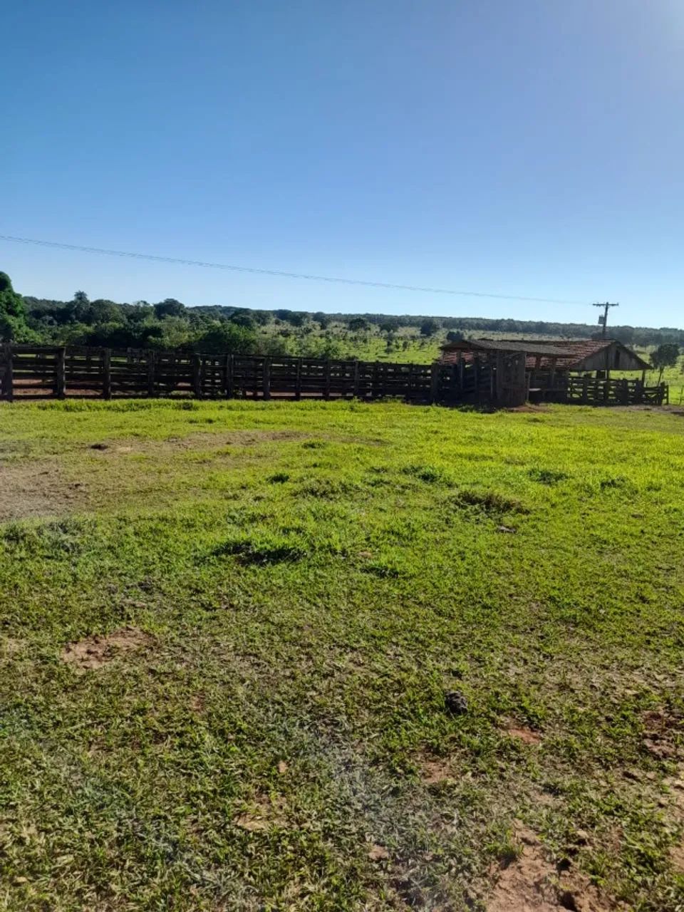 Fazenda de 97 alqu Aparecida do Tabuado - Foto 4