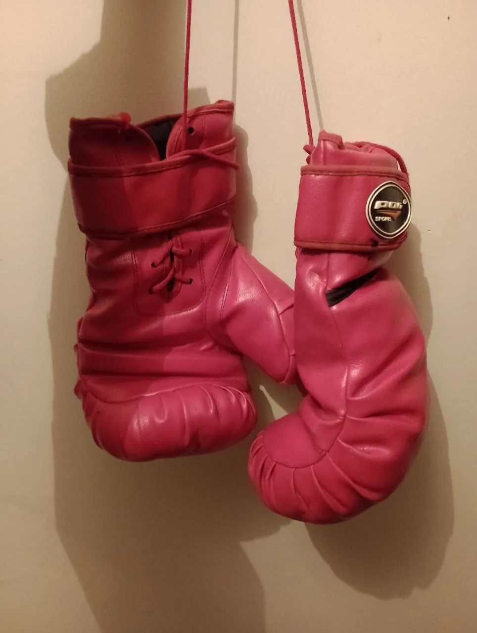 Luvas de Boxe profissional 16 onça