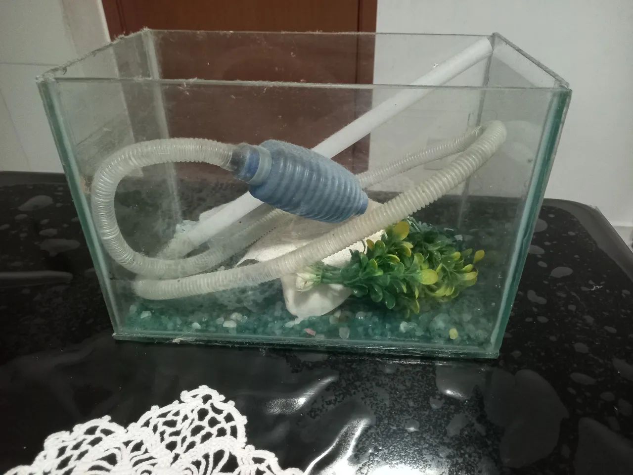 2 Aquários64313865326083124