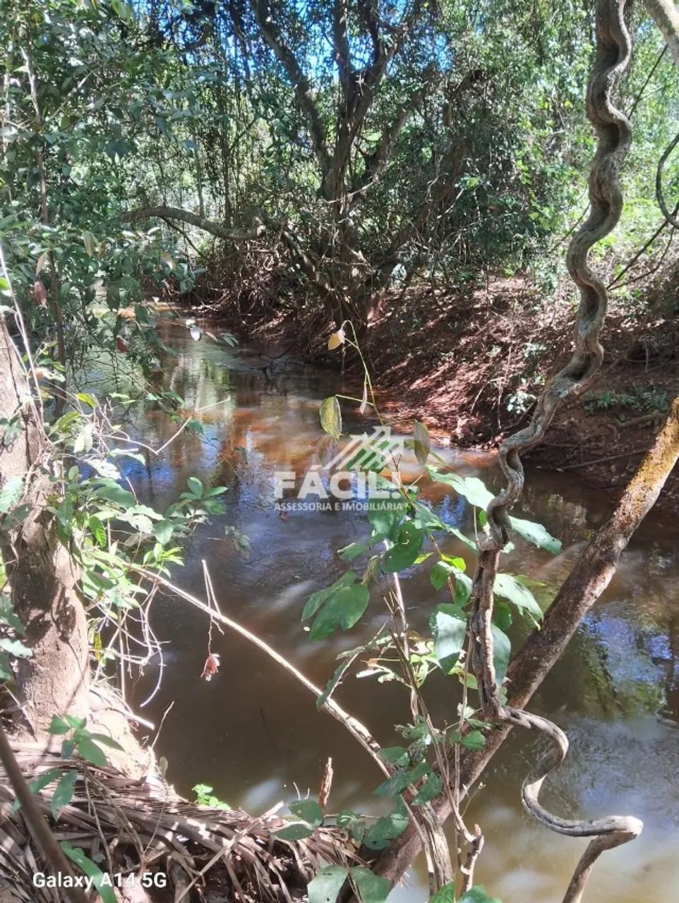 Chácara Beira Rio | 8.500m² | Rancho + Pomar | Aceita Troca - Foto 4