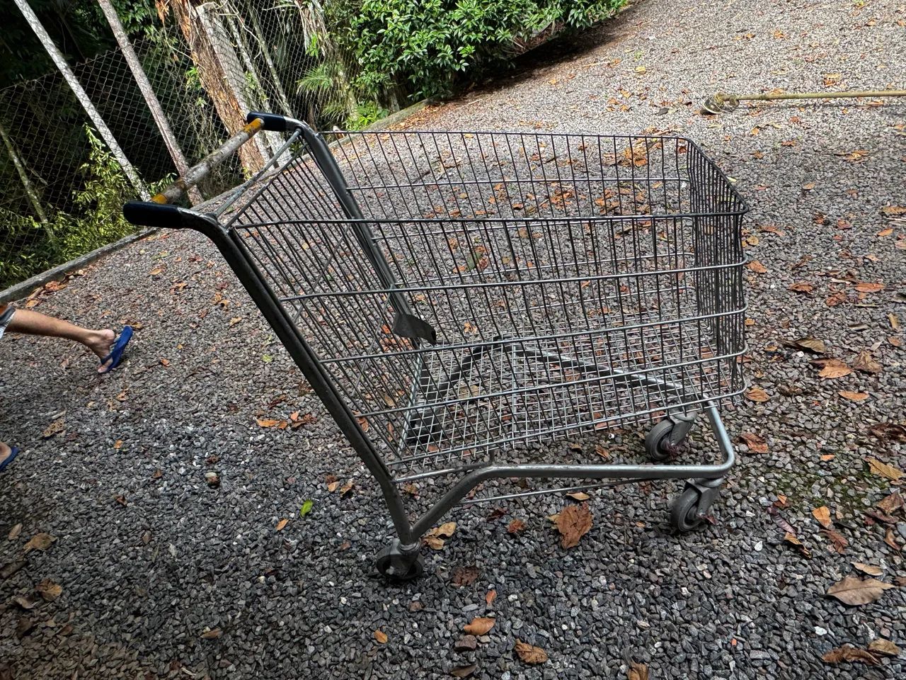 Carrinho de supermercado 