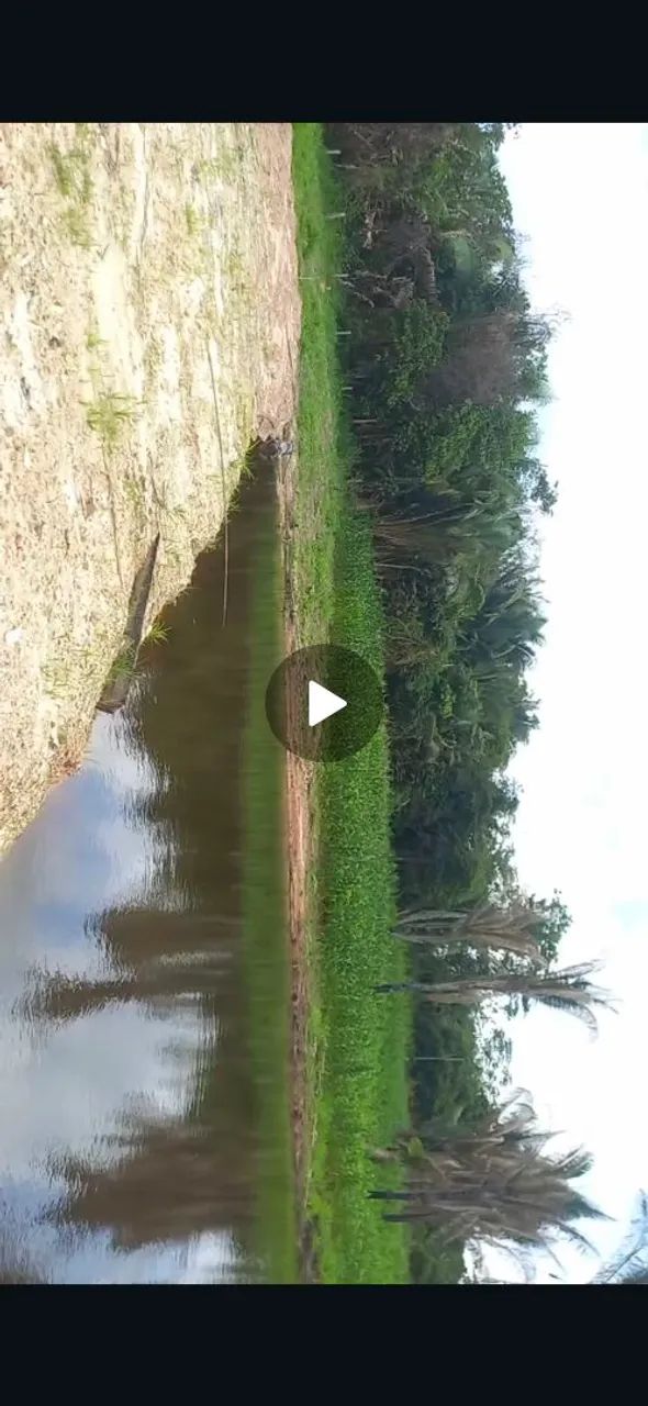 Vende-se está chácara preço oportunidade  - Foto 5