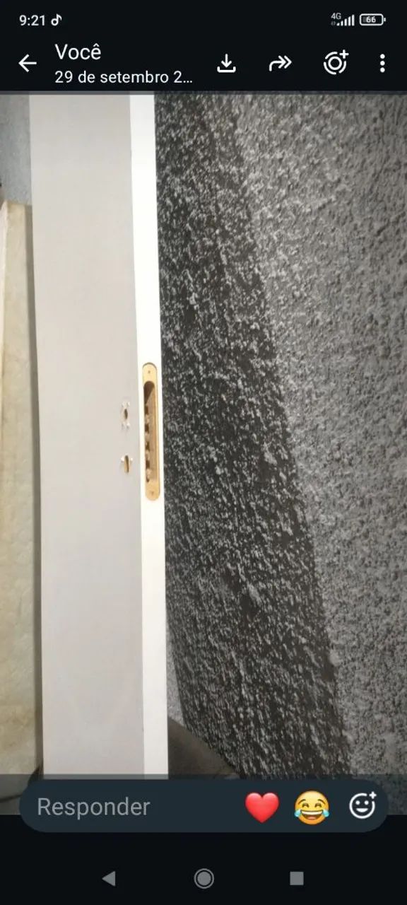 Porta - Foto 3