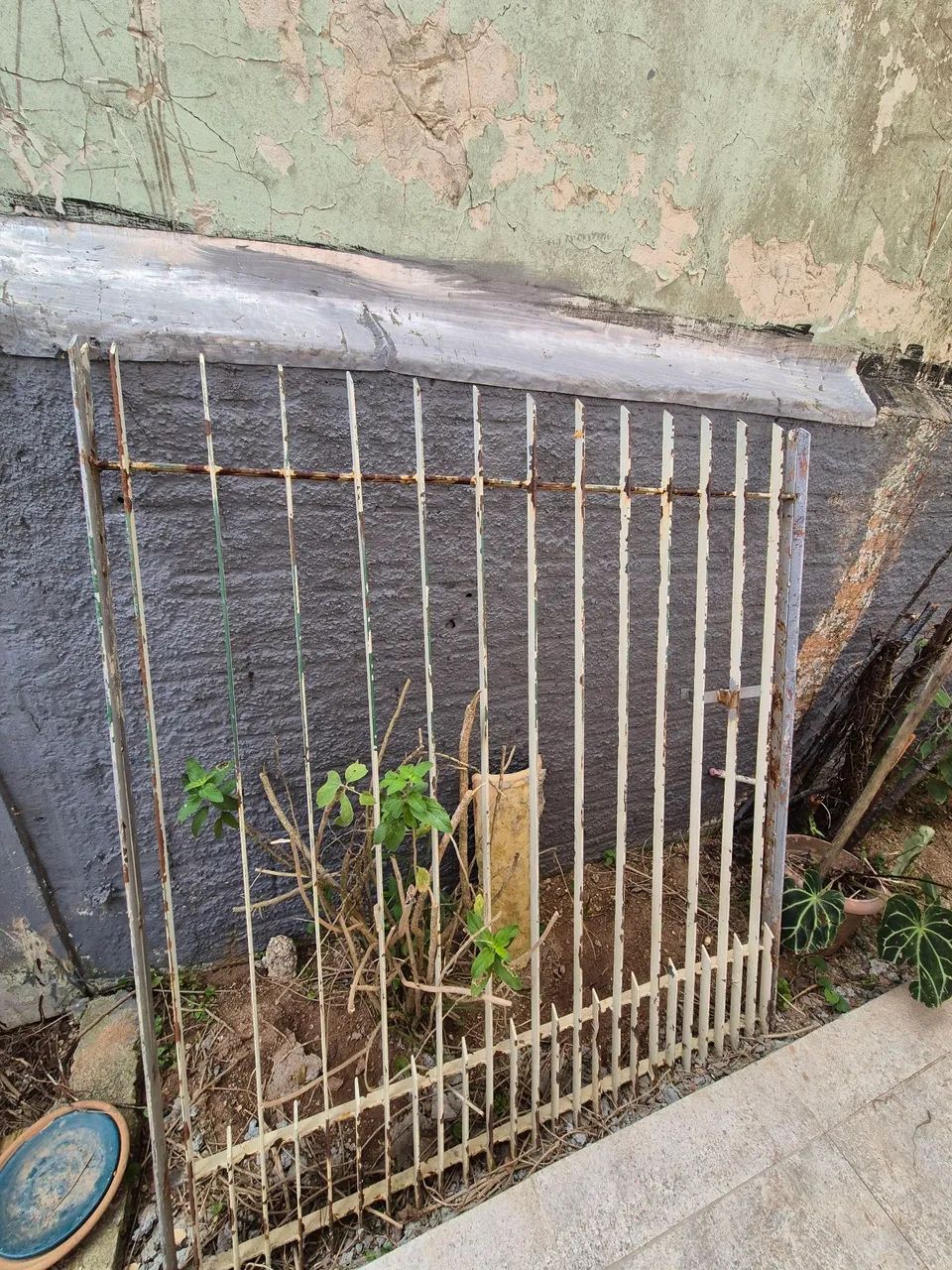 Grade portão 