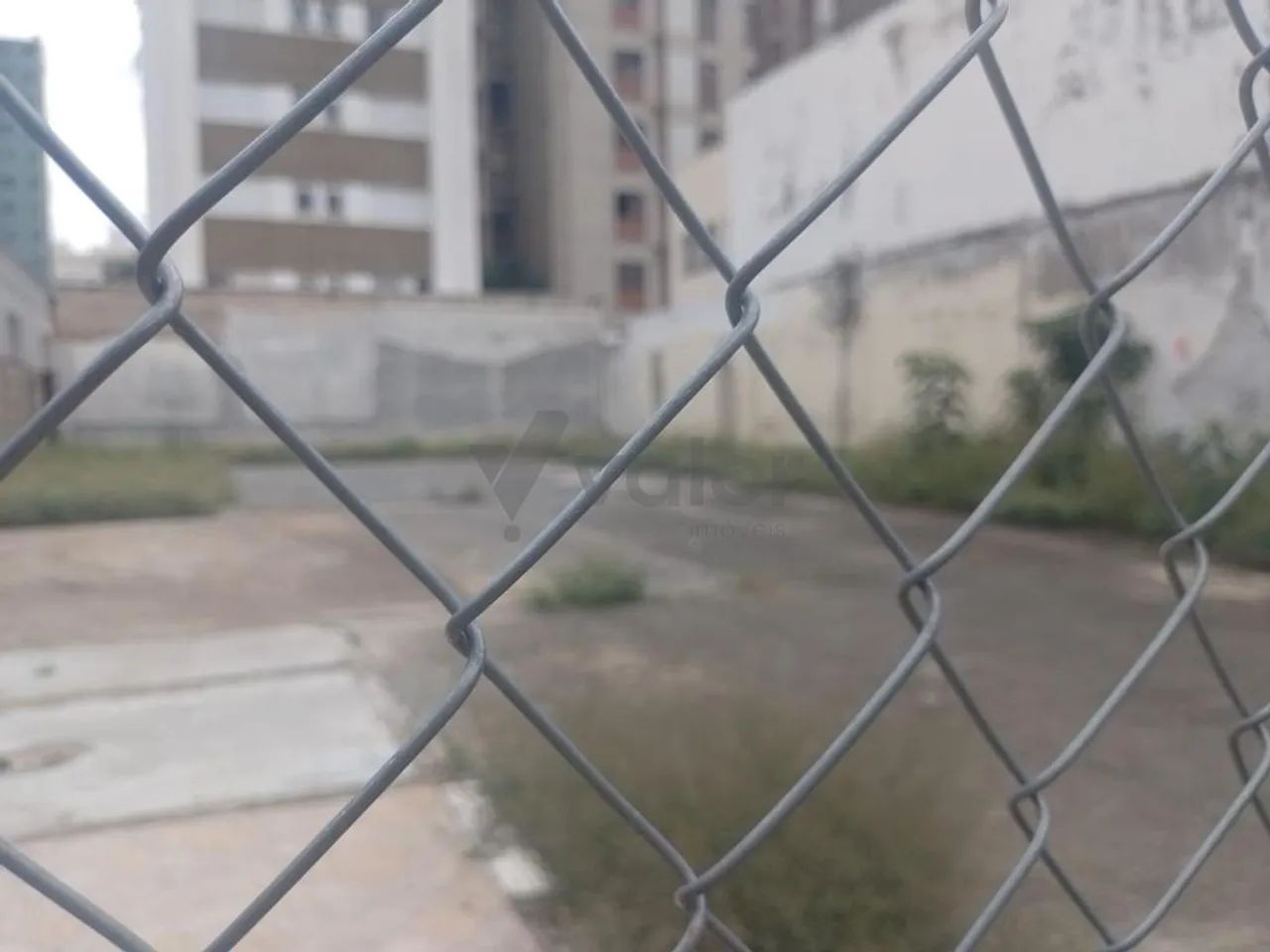 Terreno para alugar em Campinas, Centro, com 429 m² - Foto 3