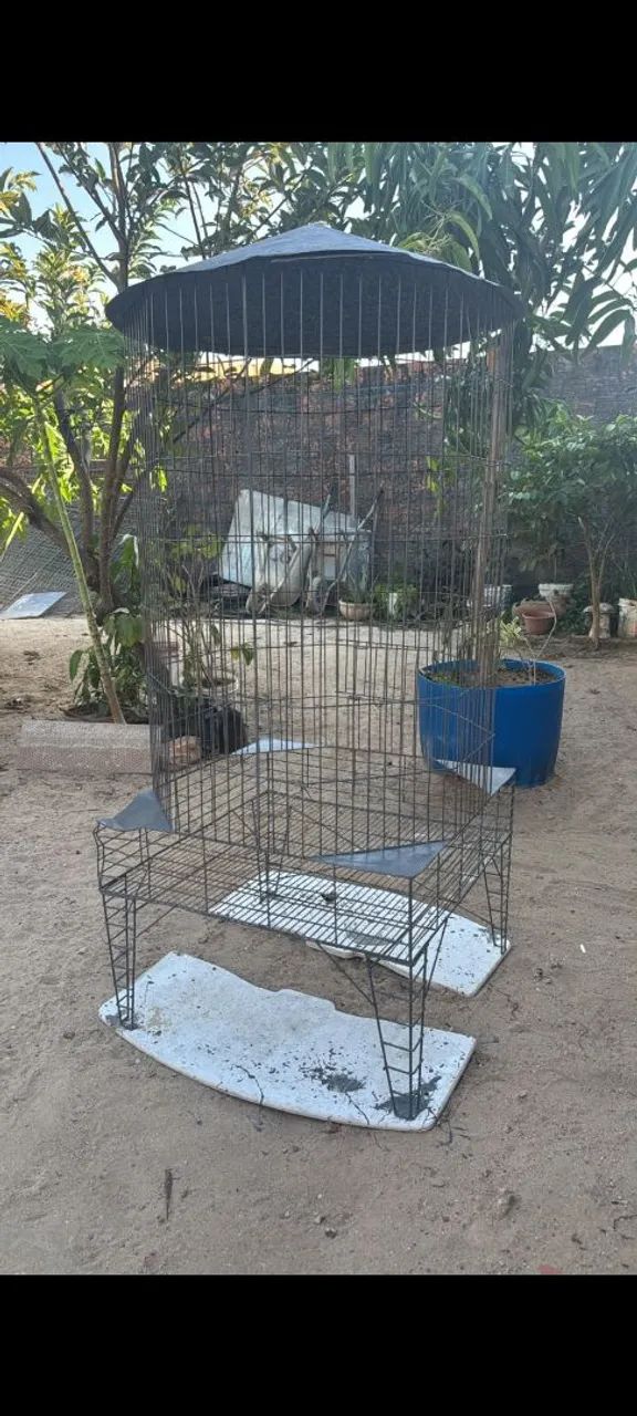 Gaiola grande  - Foto 2