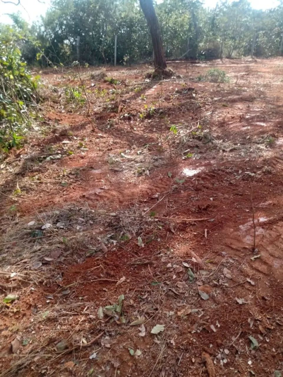 Lote condomínio/ sem pagar condomínio  - Foto 4