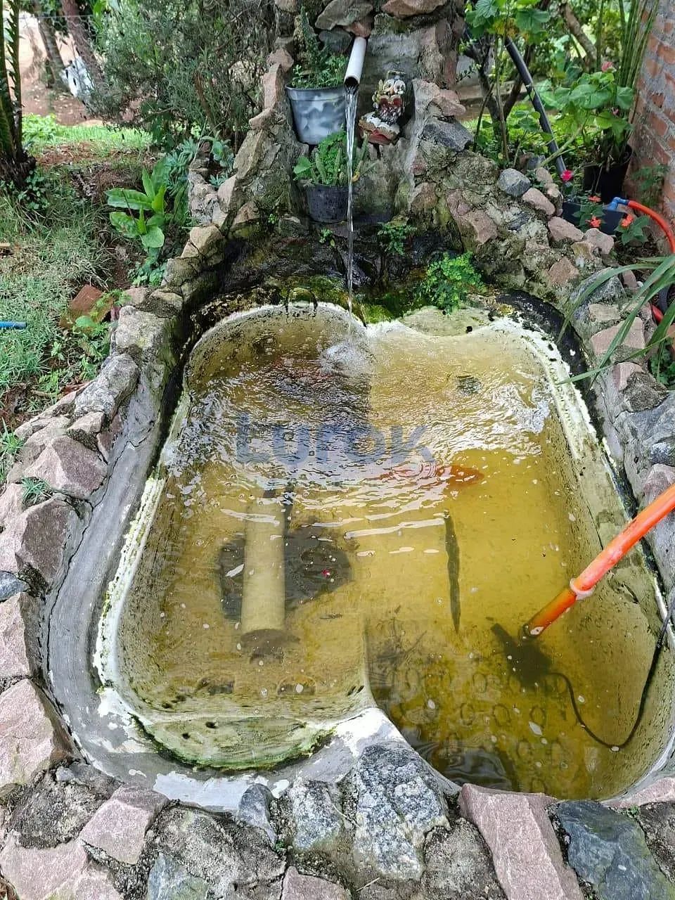 Chácara à venda, Silvas, Morungaba, SP - Foto 4