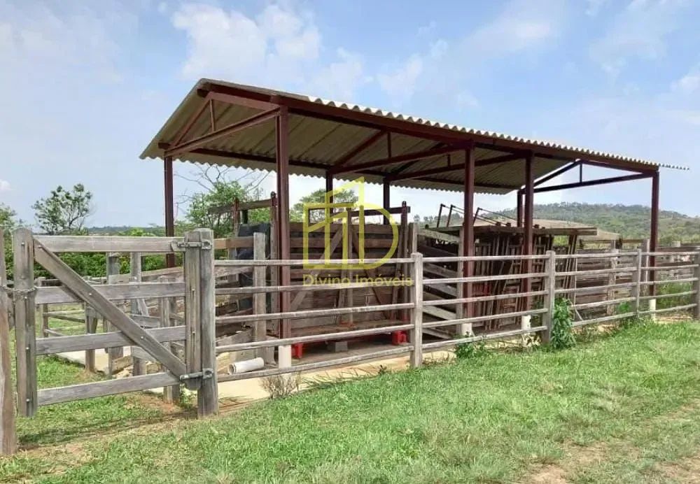 Excelente Sítio à Venda em Itapetininga  SP - Foto 5