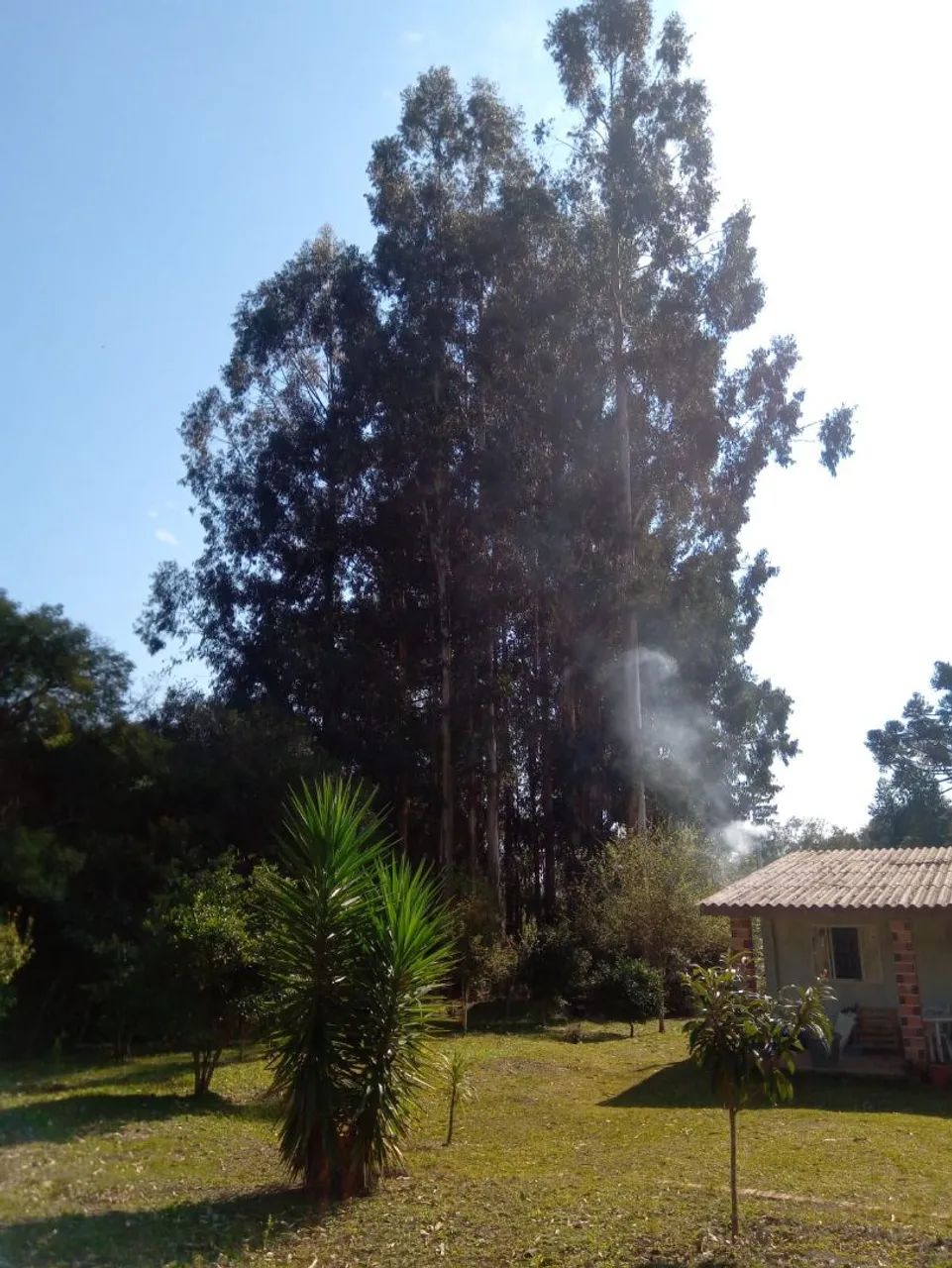 Chácara Quitandinha  - Foto 3