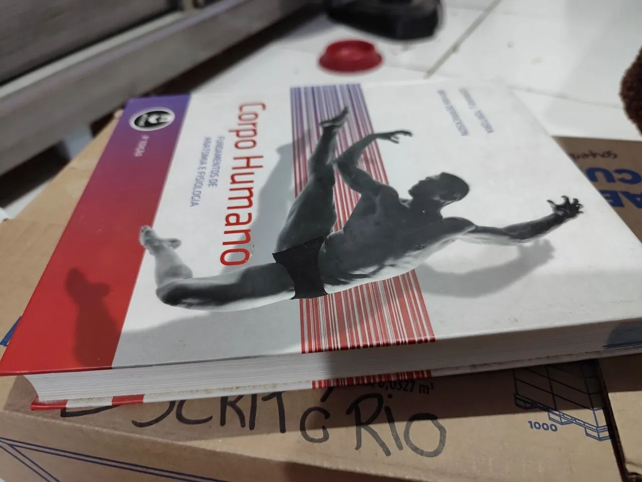 Livro Corpo Humano - Anatomia e Fisiologia - Ótimo estado - Foto 3