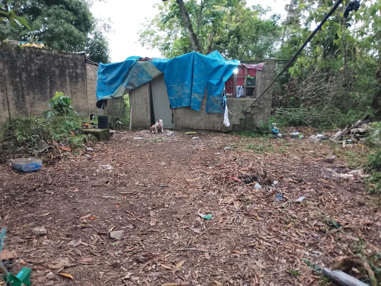 Foto - São Caetano do Sul - Prosperidade