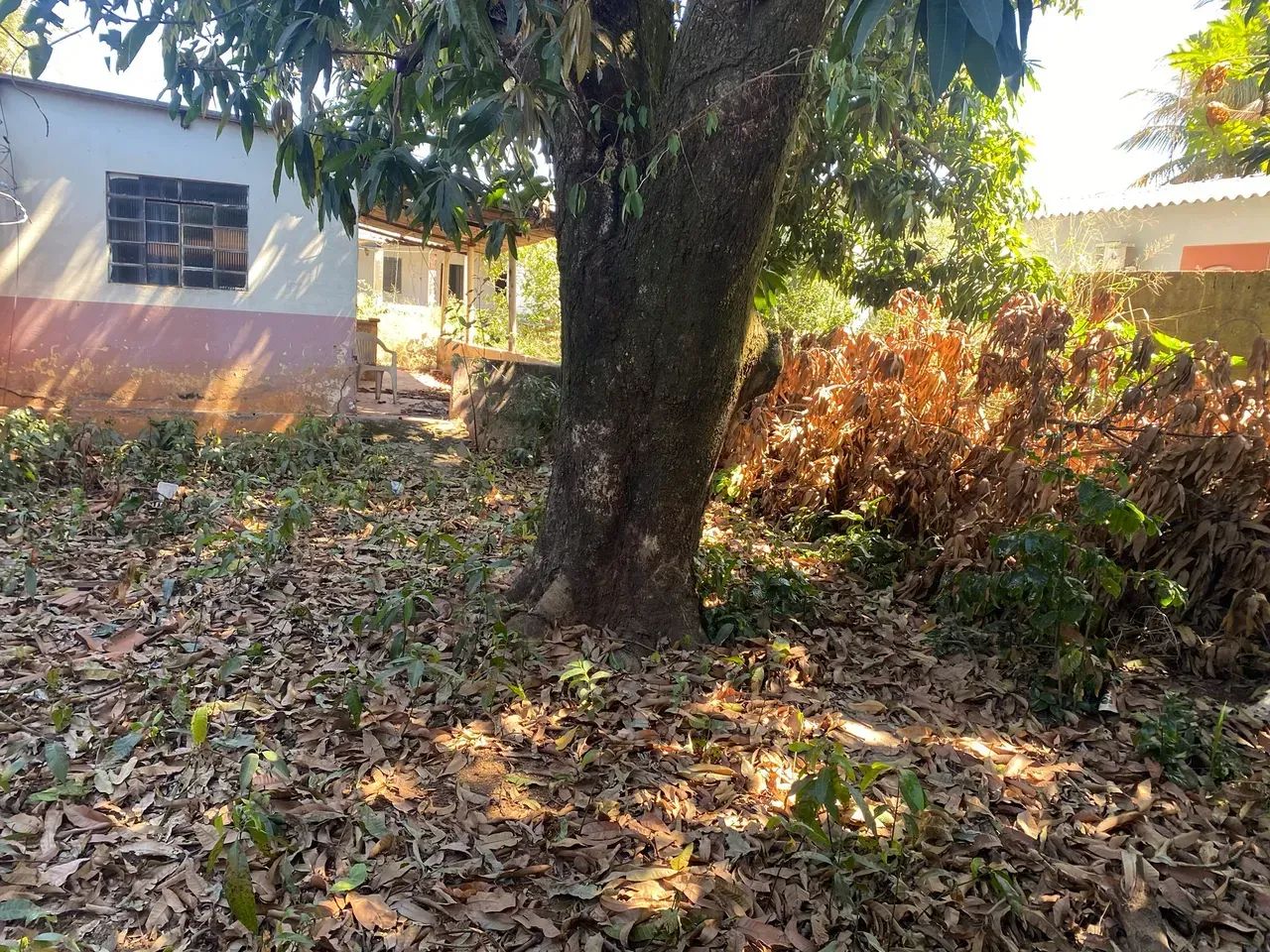 jardim luz 250.000 + documentaçao - Foto 4