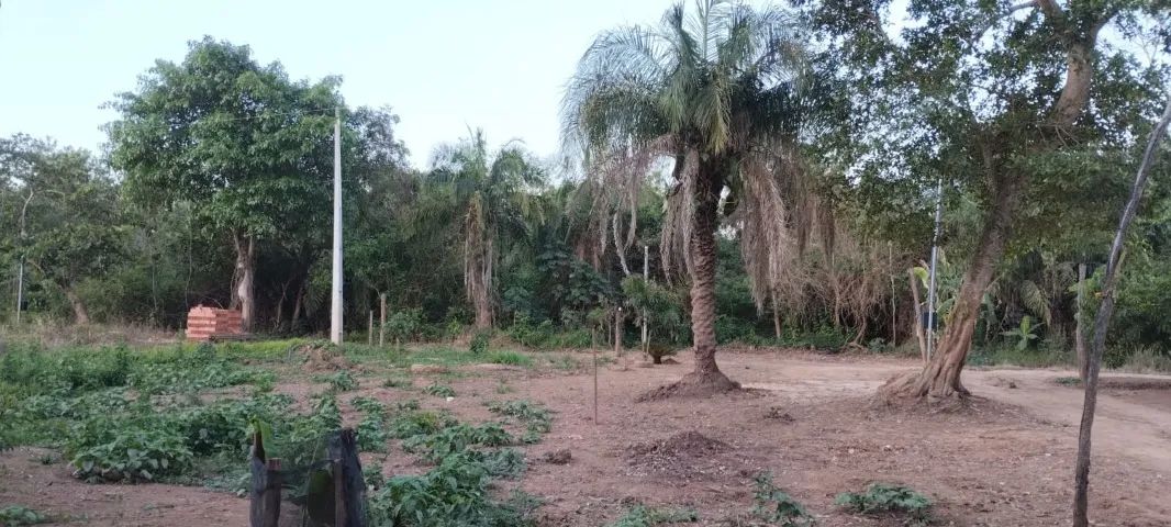 Rancho na rodovia do peixe - Foto 3