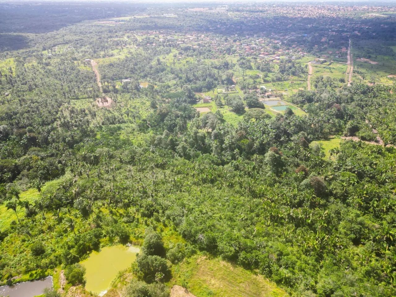 Chácara com mais de 10Hec para venda em São Luís - Foto 2