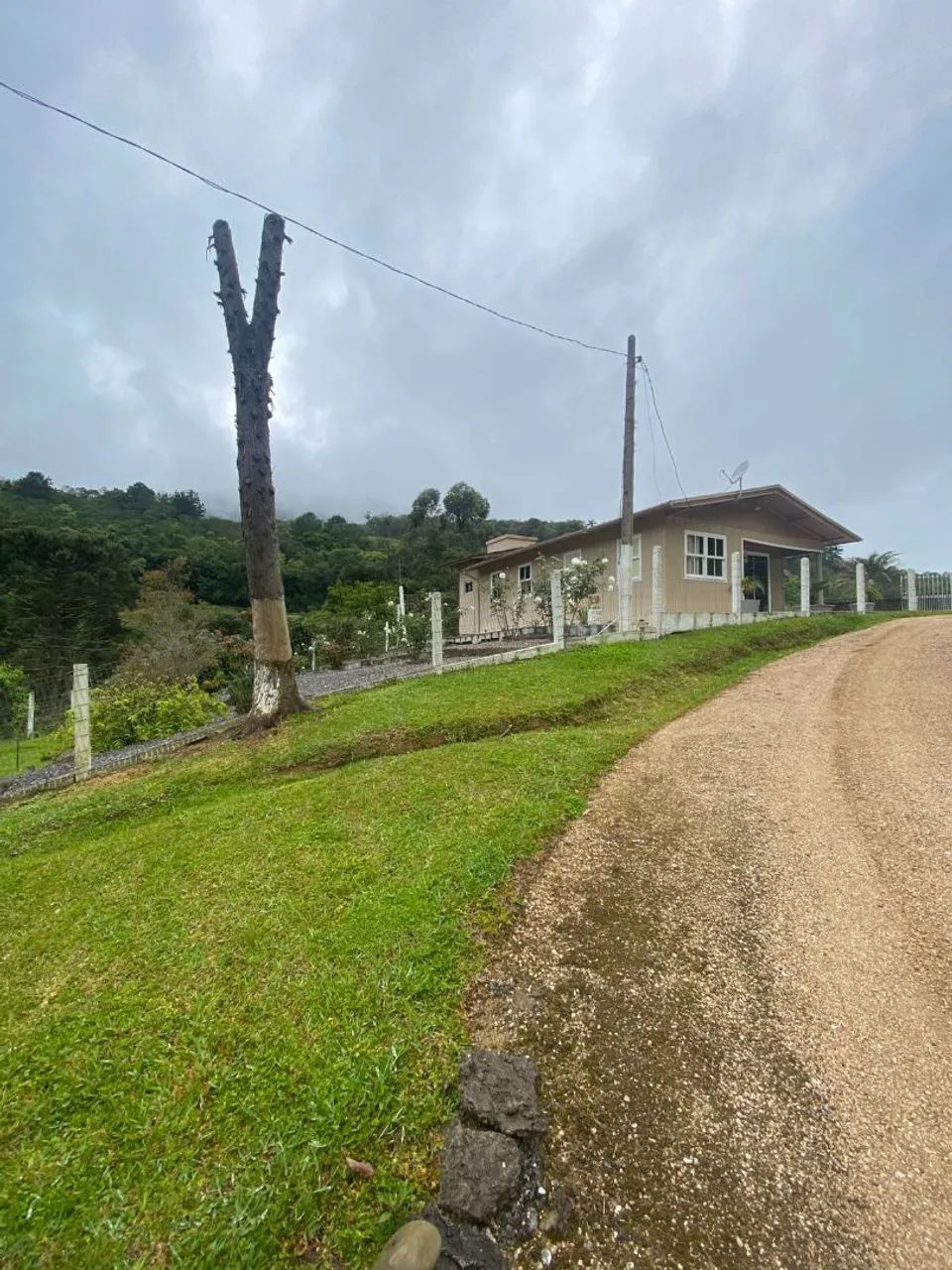 Foto - Antônio Carlos - 