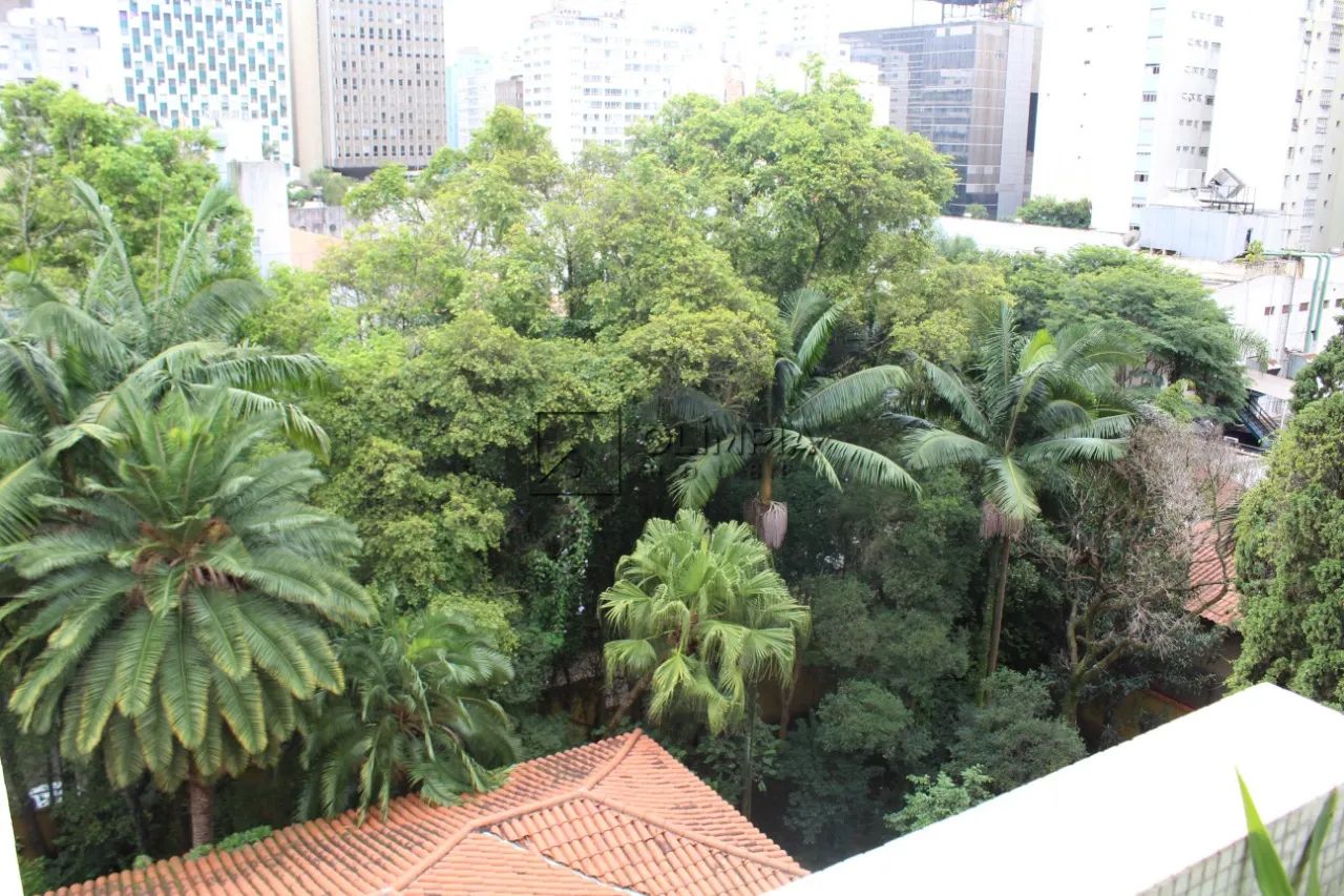 Bela Vista · Venda e Locação · 3 dormitórios - Foto 4