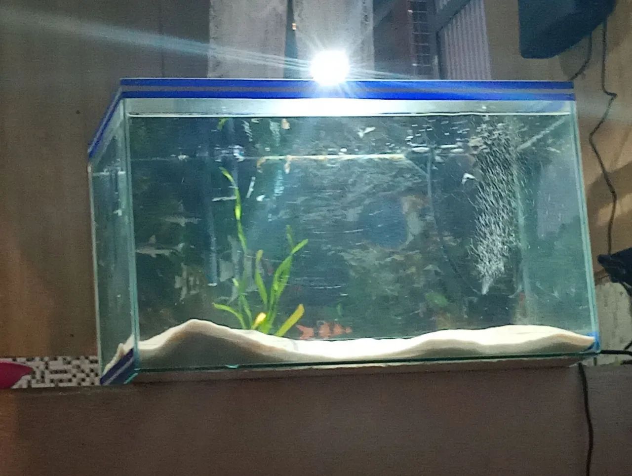 Aquário de 40 litros.. completo com 2 bombas..areia.. planta viva