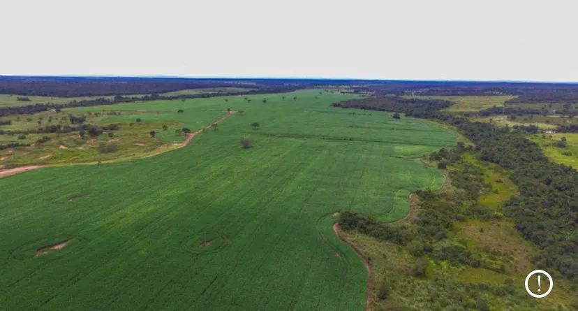 Fazenda de 434 alqueires em Divinópolis - Vale do Araguaia Tocantins - Foto 3