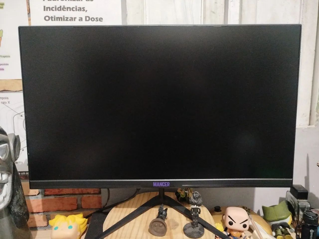Monitor Mancer Horizon Z3B - 100hz