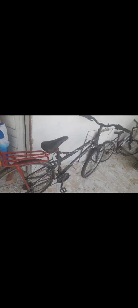 Bicicleta adulto 