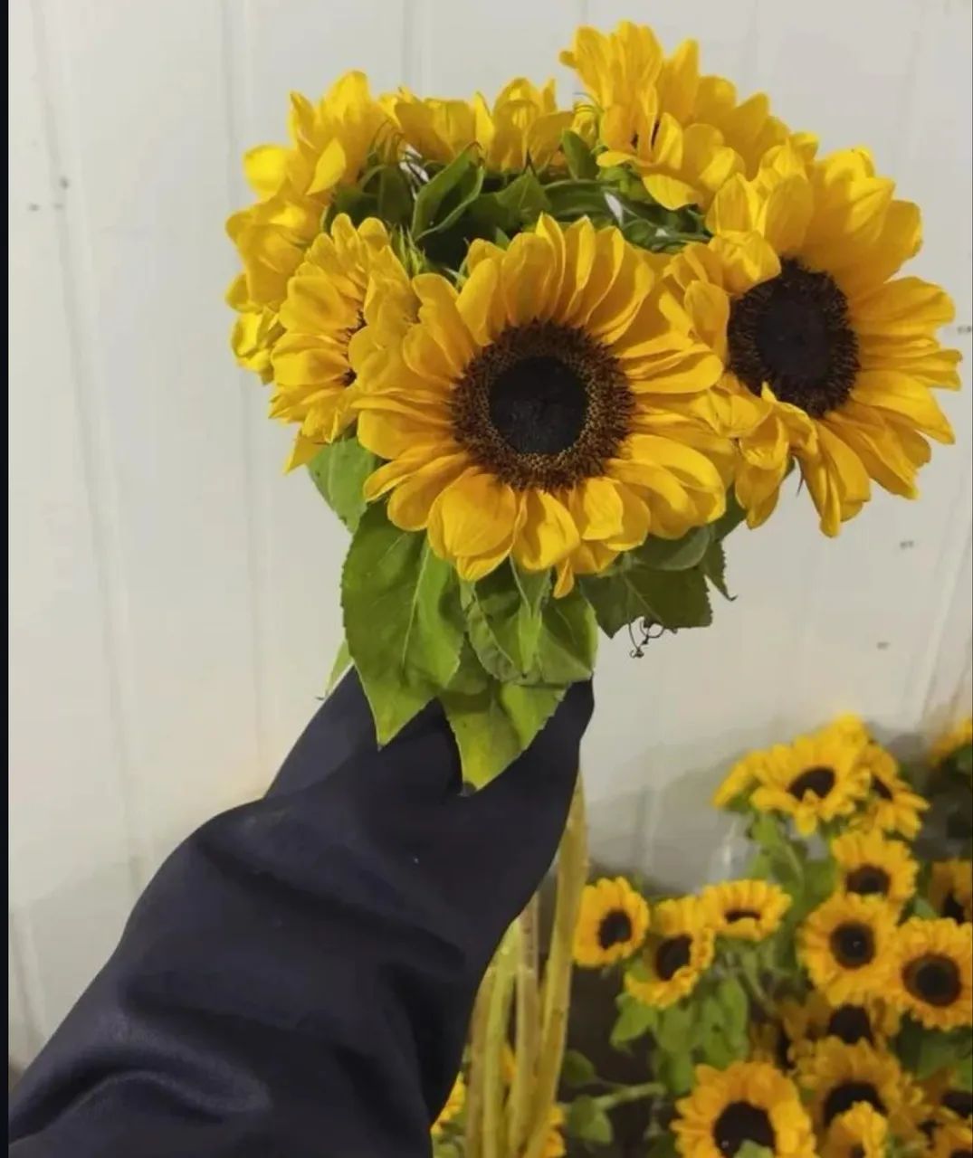 Pacote de rosas e flores  - Foto 4