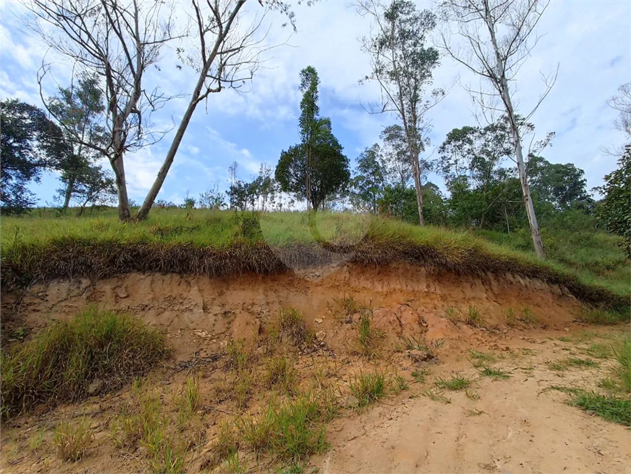 Terreno à venda em Jardim monte santo - SP - Foto 5