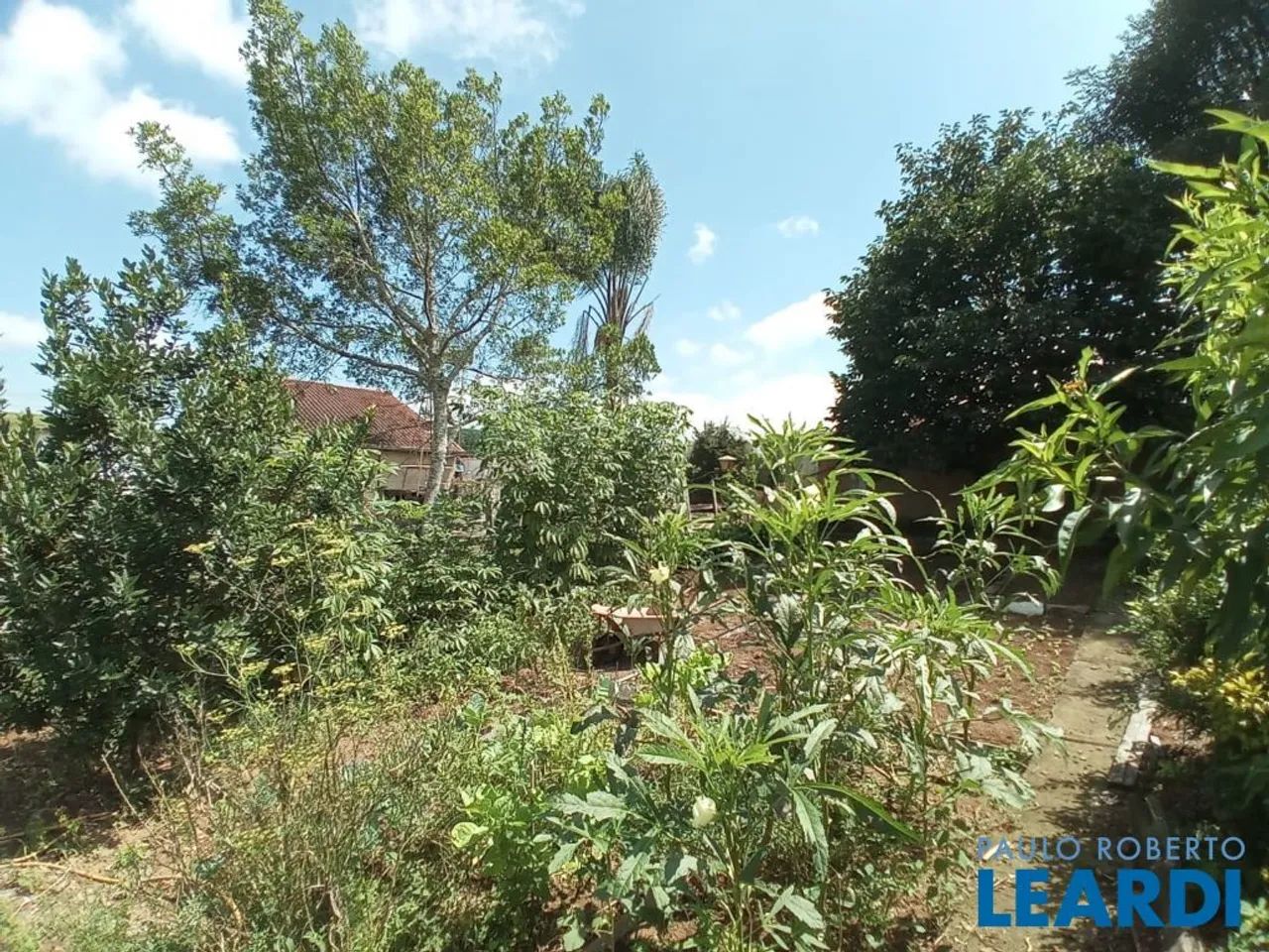 CHACARA - CAMPO DAS ANTAS - MG - Foto 5