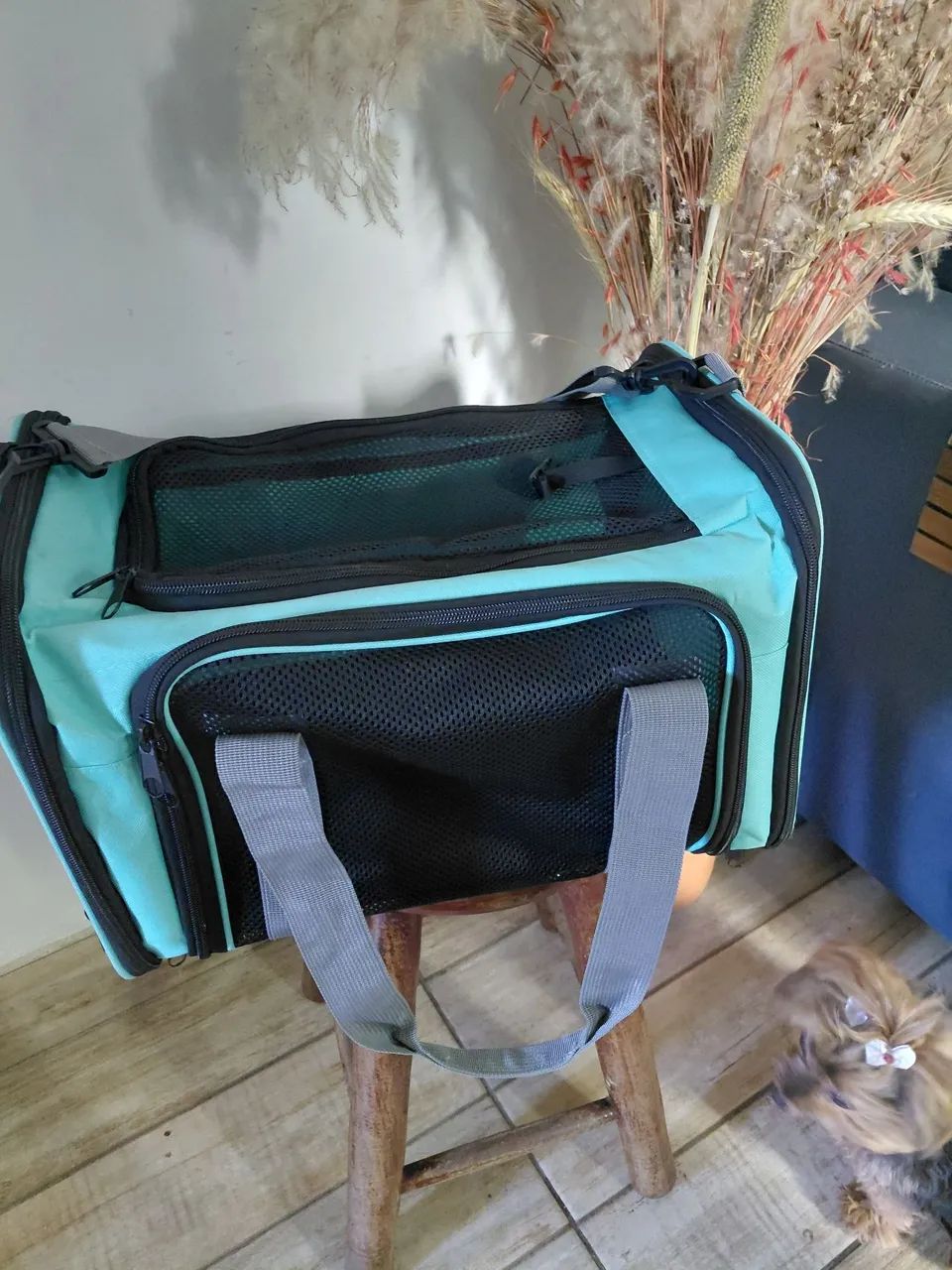 Bolsa de Transporte para pets de até  5 kg - Foto 3